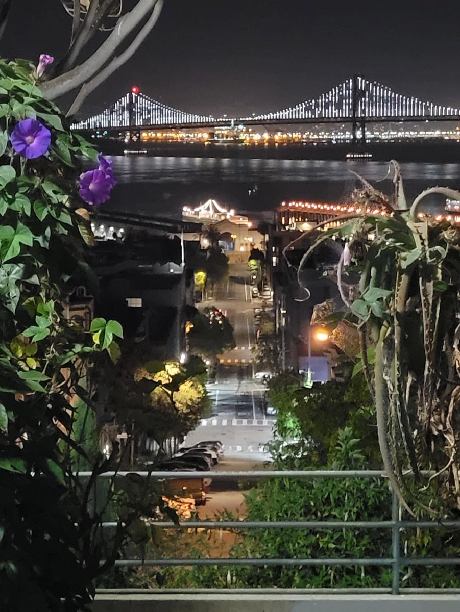 San Francisco
##tokyoartsandculture
#raw_nightshots
#noitenoinstagram
#faded_world
#1x_japn
#wu_japan
#japancityblues
#yakei_cp
#city_explore
#team_jp_
#raw_nightshots
#total_nightjapan_member
#urbanromantix
#photo_shorttrip
#ptk_japan
#art_of_japan