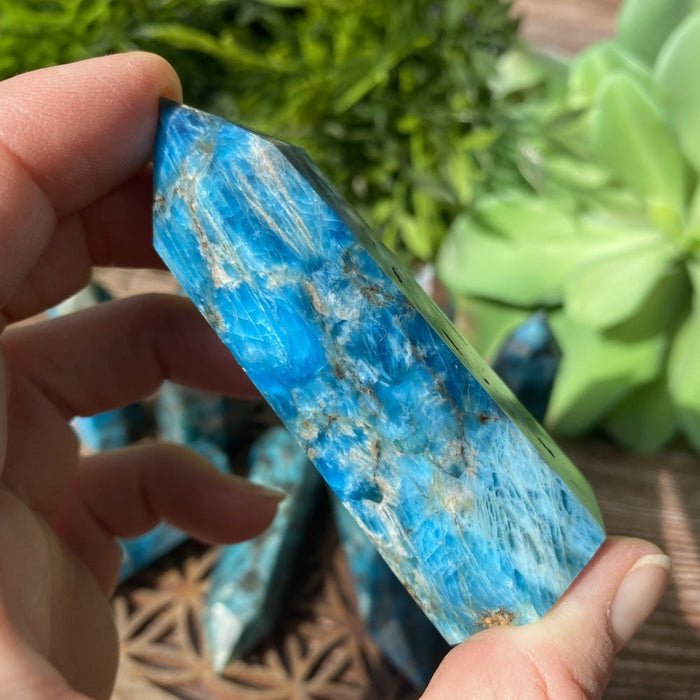 JewelryBKShop's tweet photo. WHAT IS APATITE? Blue Apatite is a naturally bright, well saturated electric blue to blue green colored stone. Apatite is found in igneous, sedimentary and metamorphic rocks.  

Read more by clicking the link below.

https://t.co/KXwyMBNAON 
#crystals #gemstones #apatite #wands https://t.co/3NxHPq9ooO