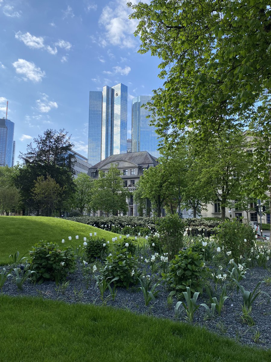 InesHandler's tweet image. 