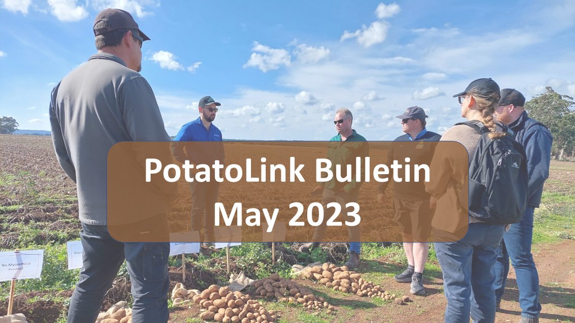 PotatoLink Bulletin May 2023 has so much info for the potato industry - check it out here: bit.ly/3nEuo87 for new resources, online training, irrigation webinar, sensors workshop &amp; Potato R&amp;D forum.
#potatoes 
<a href="/ABCRural/">ABC Rural</a> <a href="/WAPotatoes__/">WA Potatoes</a> <a href="/AUSVEG/">AUSVEG</a> <a href="/Hort_Au/">Hort Innovation</a>