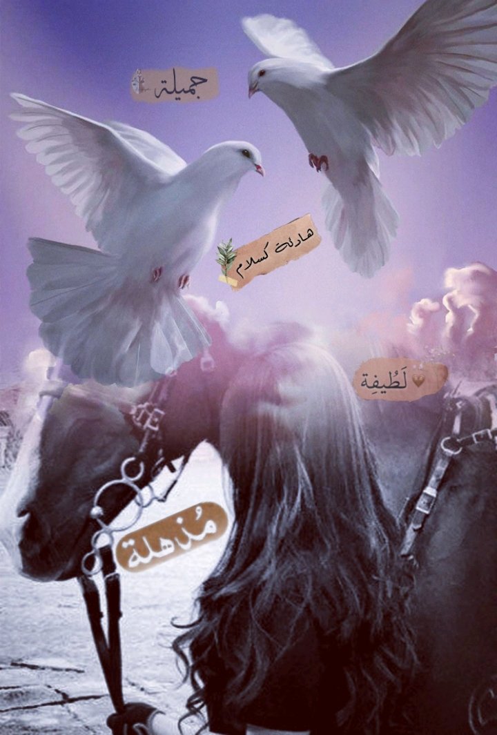 دعوآت بنفسـجيـﮯهہ‏‏💜 tweet media