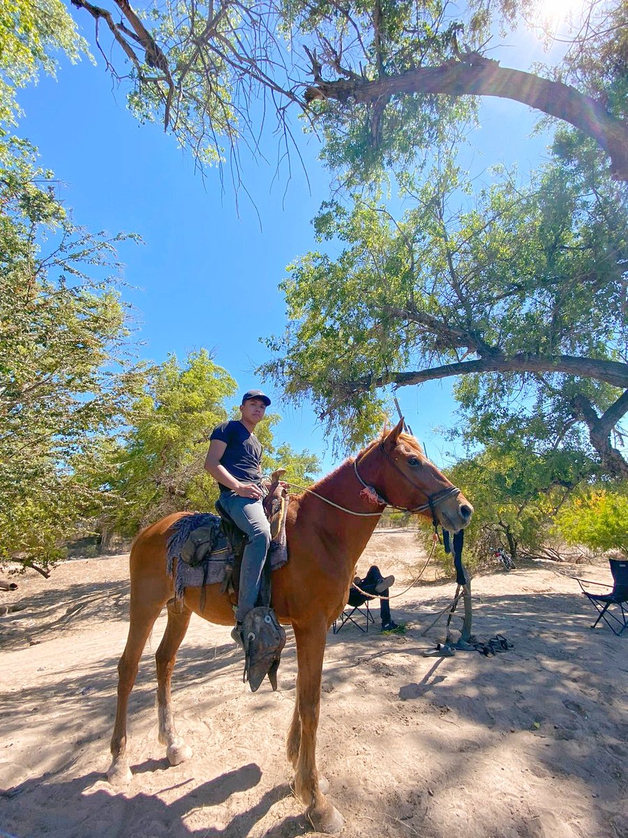 JrnRamon's tweet image. Hi