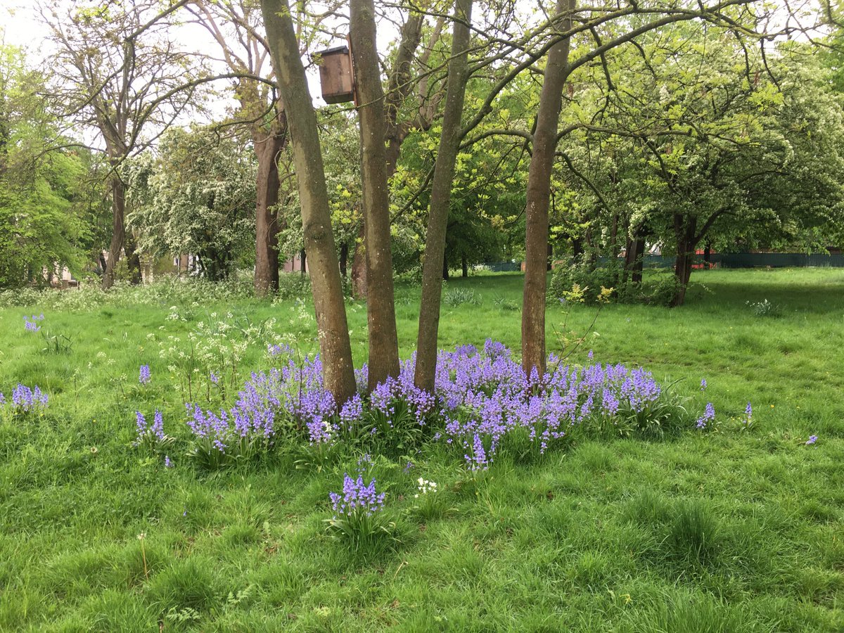 Kind of blue this morning