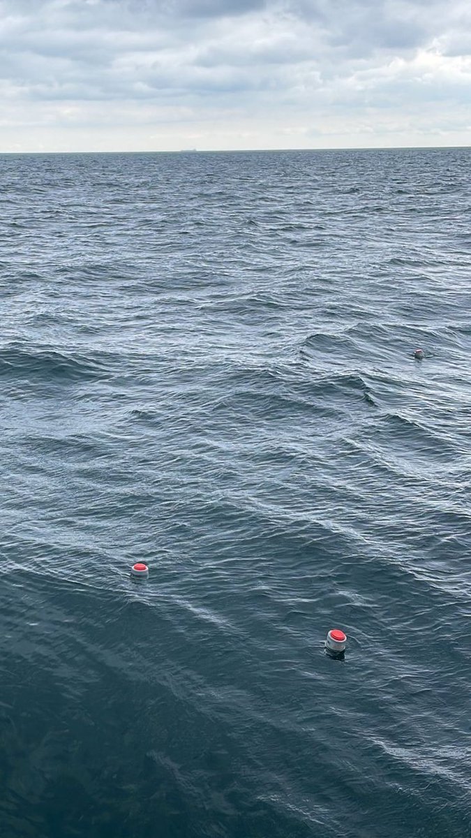 SCIENCE IS FUN!
And releasing 6 surface drifters in the Baltic Sea to follow eDNA and ocean currents at 3m depths has definitley excelled at that! Read about the hunt during @VeroMerten and my #traceDNA project below! <a href="/GEOMAR_en/">GEOMAR_en</a>