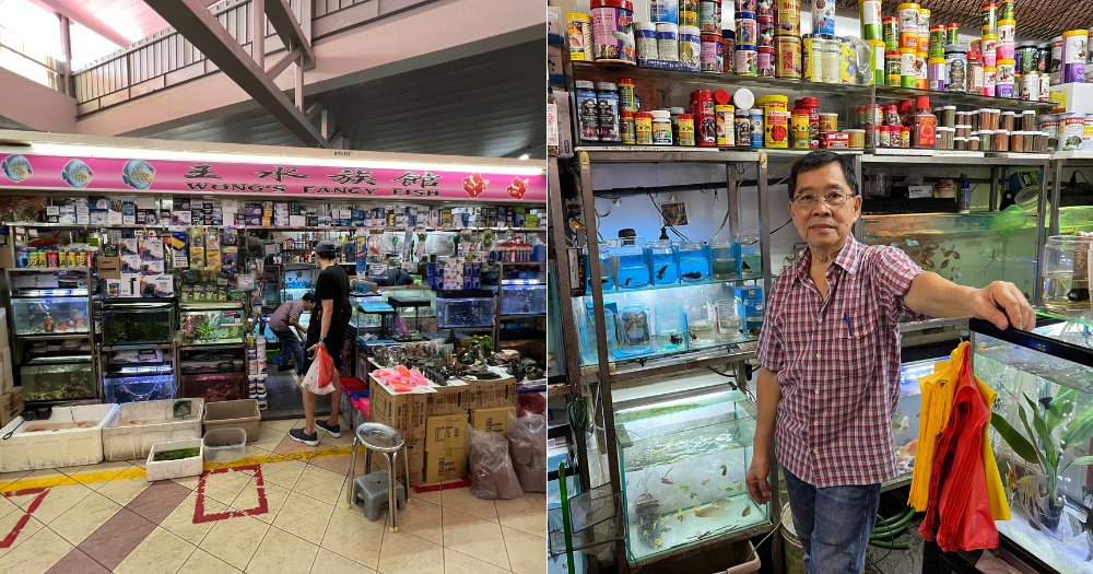 Mothership on Twitter "5decade old aquarium shop in Kovan market