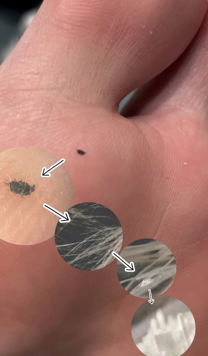 SalomeSaSa tweet media