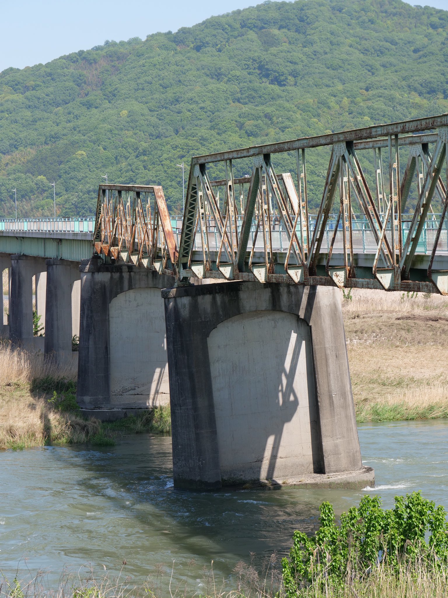 中川放水路橋梁 (新金線) | 葛飾区の公園情報(隣接の足立区