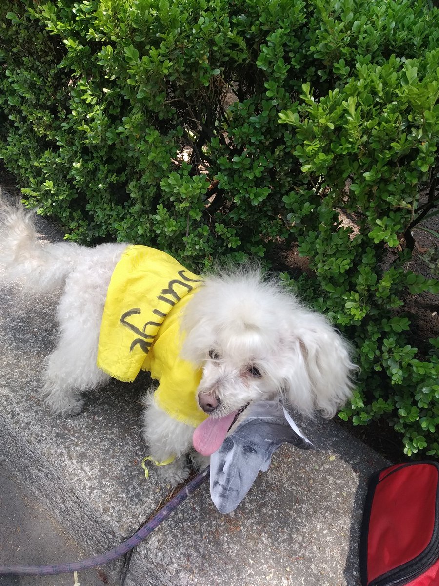 Assange_libre's tweet photo. Small committed group 🐾 but good enough to get them to close the streets, to get the ppl's & the Embassies employees attention
#OnlyOneDecisionNoExtradition
@JA_Defence @SomersetBean https://t.co/QOYEpWS2ry