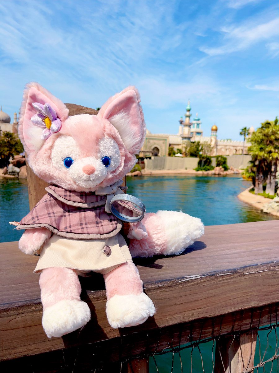 USG_chipdale's tweet photo. リーナベルちゃんようやくお迎えしました🦊🌸 https://t.co/IlWvHQU2TS