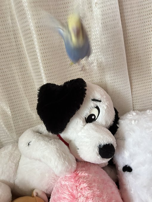 Twitterのコスプレ画像2