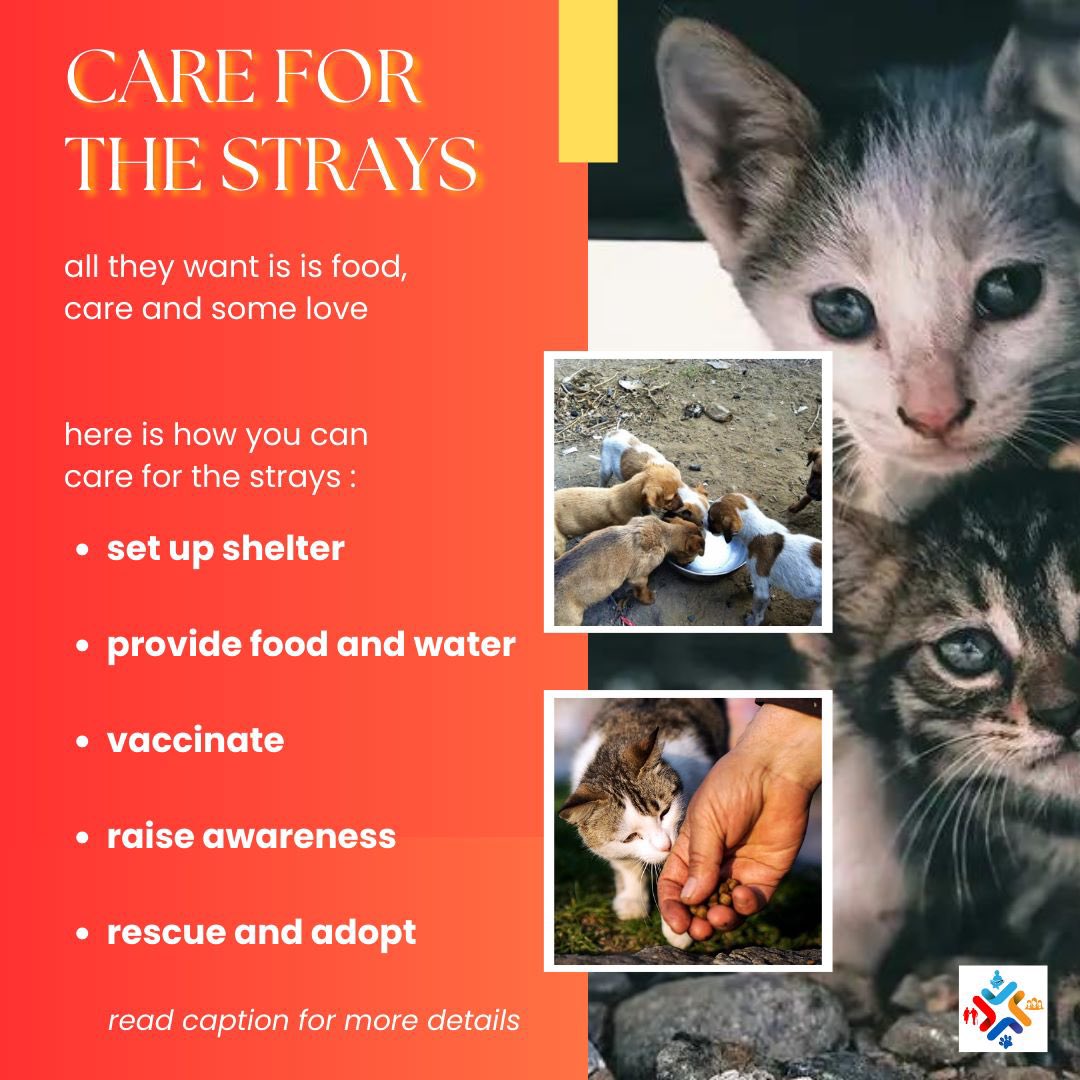 hwctindia's tweet photo. You can join for several causes and helps the speechless souls the way you can 🙌￼

Together, let’s be the voice for the voiceless 🐶🐈❤️‍🩹

#hwctanimalshelter #animalwelfare #careforthestrays #bethevoice #helpstrays #rescueandadopt #awareness #animallove #care #animals #strays https://t.co/JODyoOBQfi