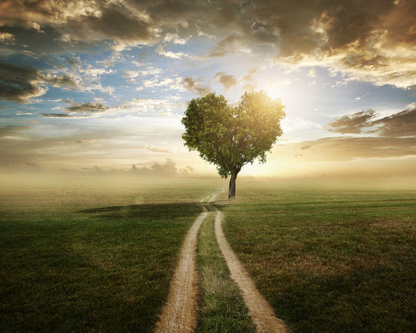 Do something small every day instead of talking about global issues. 
When we wander around in a circle of big questions, we can’t find small answers.
#NFT #crypto #ETH #happy #powerofthought