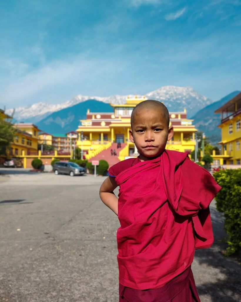 Why would I not trouble the cute and grumpy little monk for a photograph??
.
.
(Shot on MotoG60)
#mobilephotography 
.
.
#monkeyclimber #dogportrait #selfportrait #lovemountains #himachali #portraits #folkportraits #monkeytime #portraitsociety #agameofportraits #monkeyyear #…