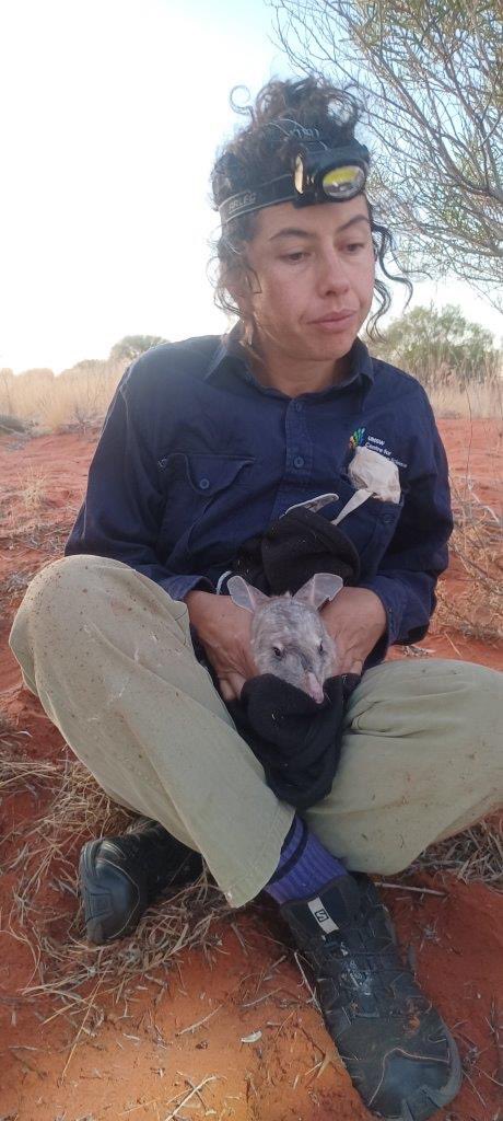 Jana Stewart tweet media