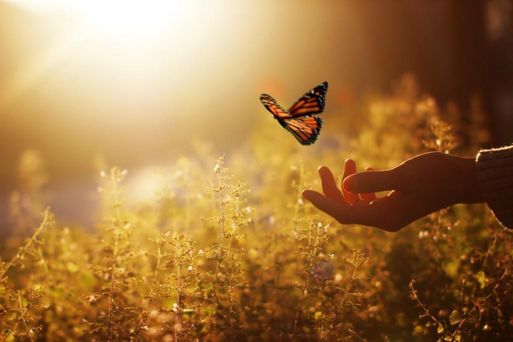 Trust your inner voice. Any question you have will answer!
#NFT #crypto #ETH #happy #powerofthought