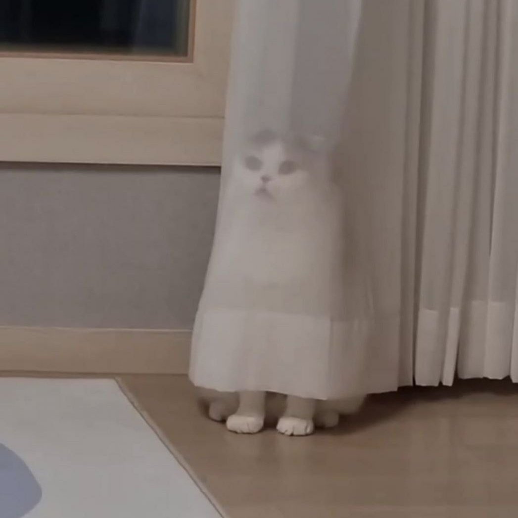nunumhr's tweet photo. KUMPULAN VIDEO KELAKUAN RANDOM KUCING 😼

`• a thread https://t.co/OIFKhnRsQa