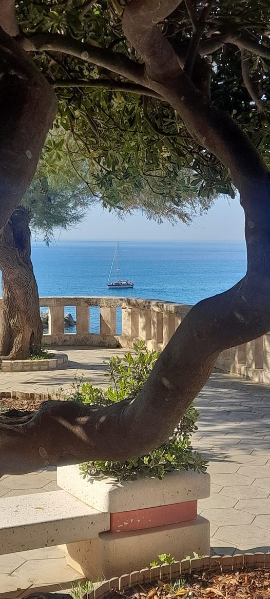BUONGIORNO DALLA #PUGLIA. CASTRO MARINA-SALENTO.