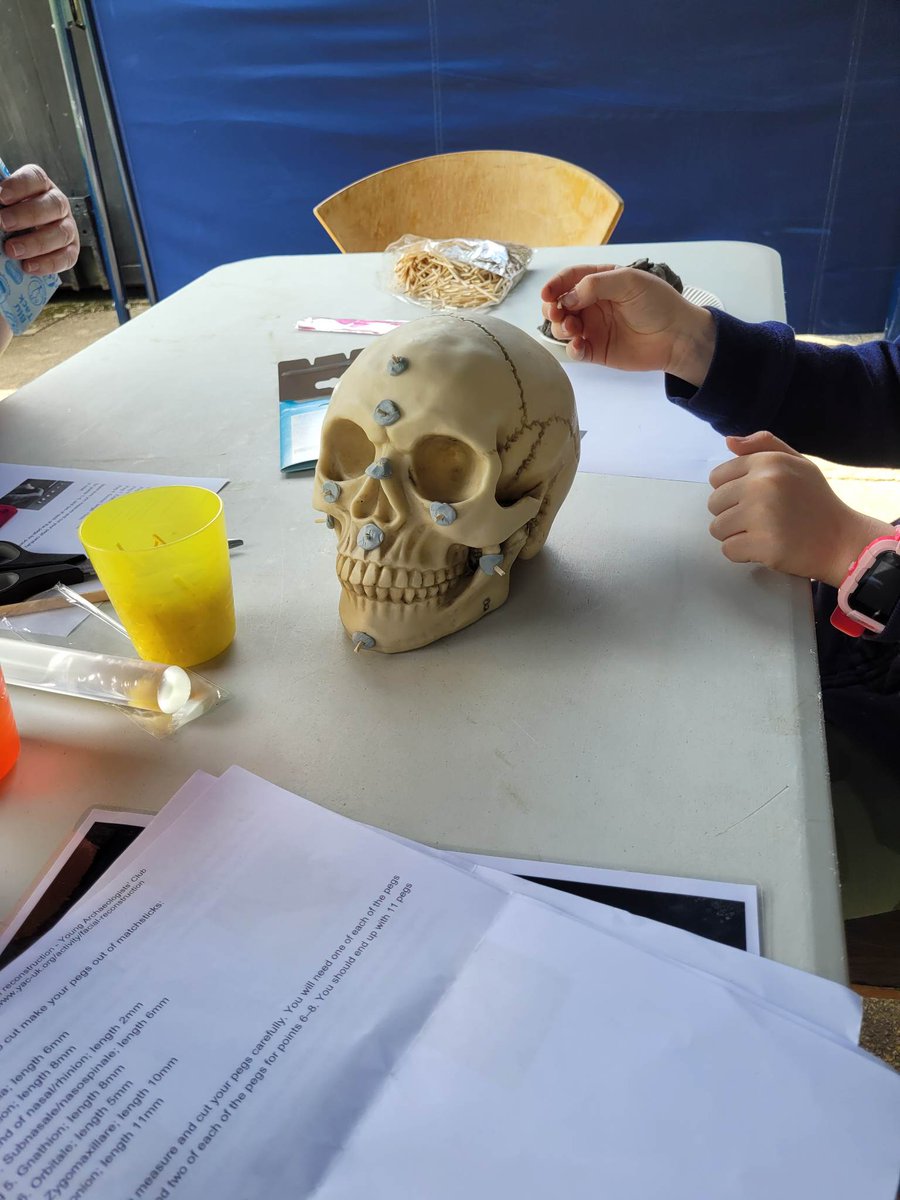 DundonaldCastle's tweet photo. #AyrshireYAC had a great time last session where they were undertaking their own 3D facial reconstructions!
Meet Herbert, Harry, Mr Muscle Bags and 'to be identified'
We are still writing the biographies for these people and we can't wait to hear about them!
@YAC_CBA https://t.co/wCWN35PteA