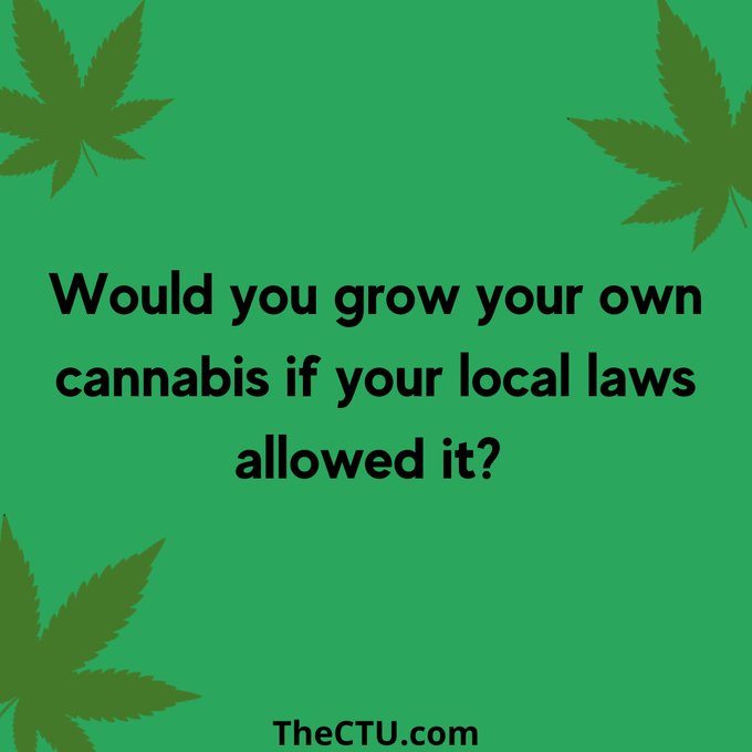 BudVizion's tweet photo. Would you ?
 #Marijuana #weedlovers #weedmob #CannabisCommunity #Mmemberville #MMJ #mondayvibes https://t.co/MxD8RmxG90