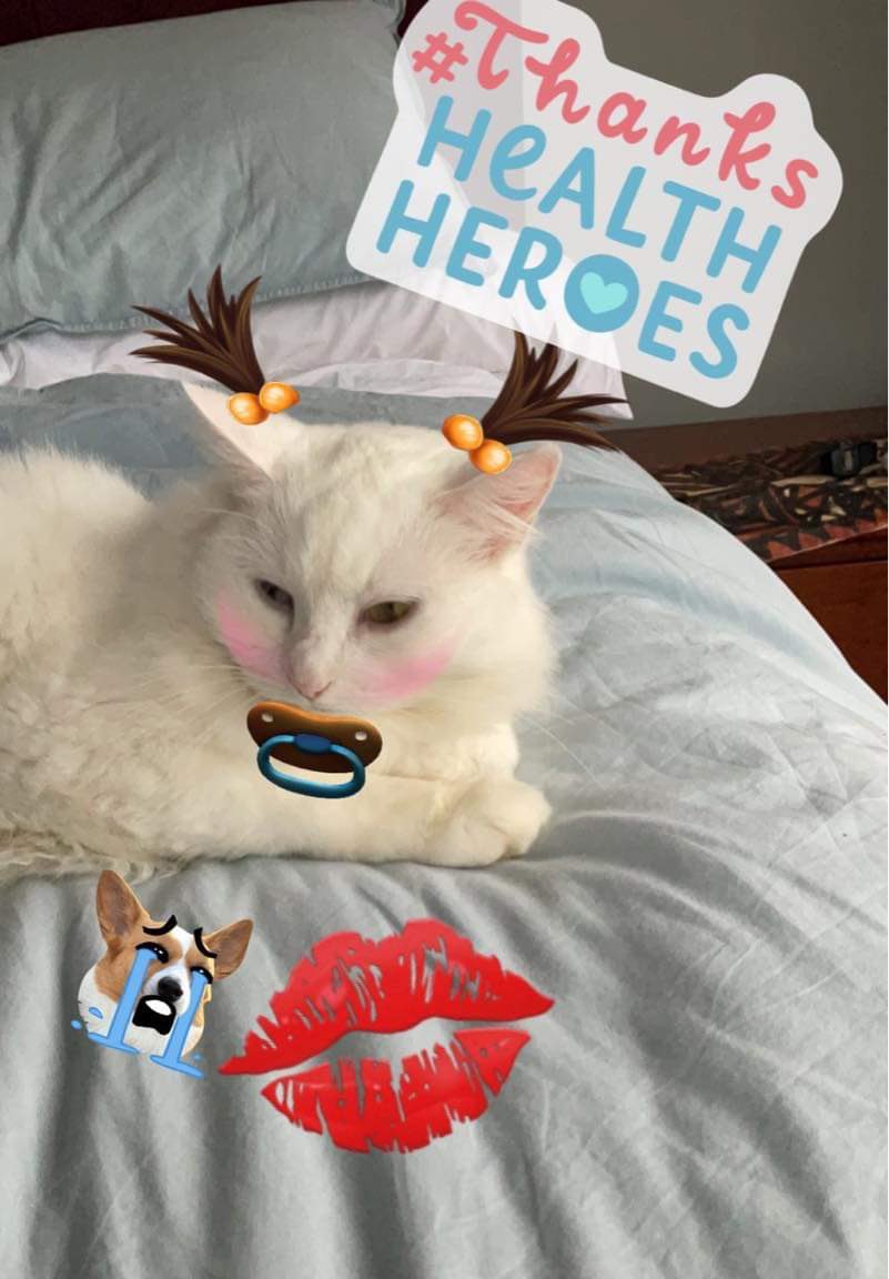 Amanda CossieWell tweet media