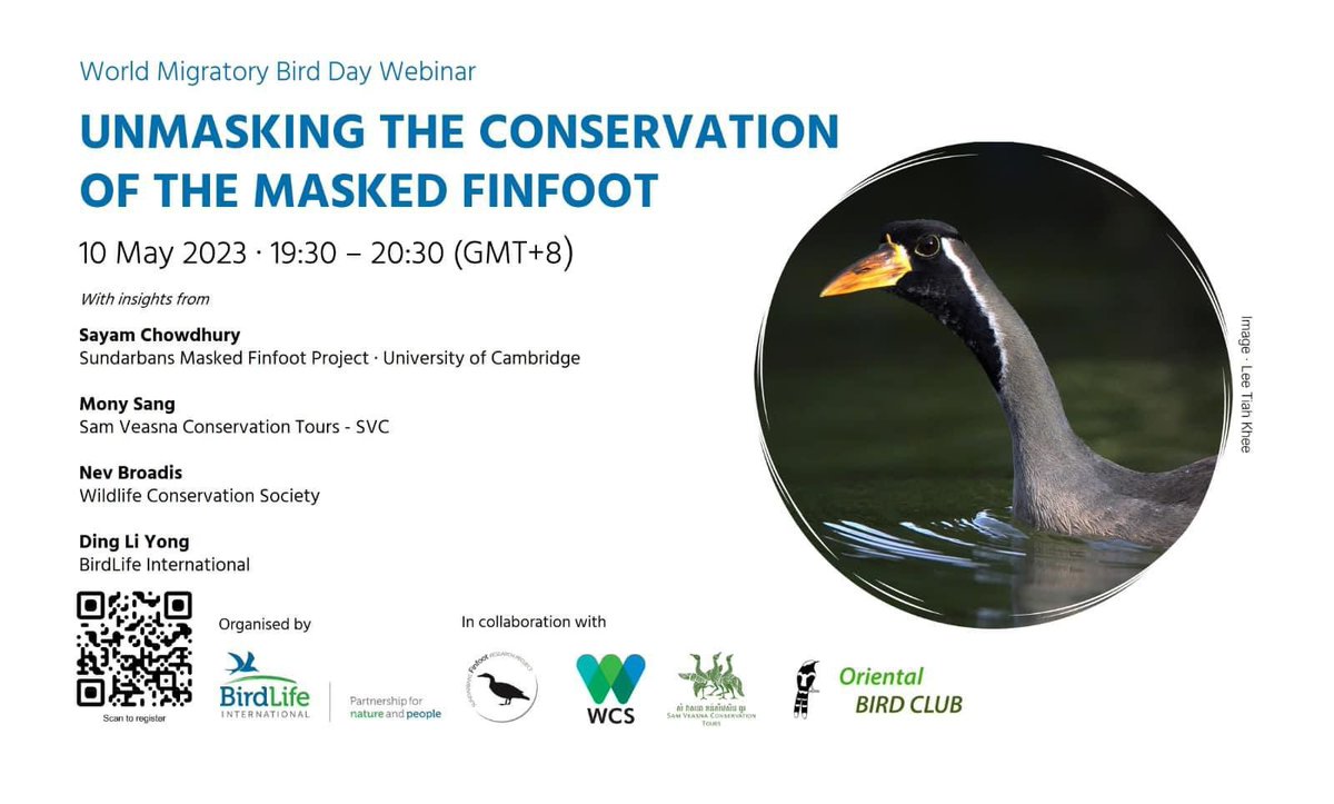 EAAFP's tweet photo. Masked Finfoot, #CriticallyEndangered, only found in #EAAFlyway. During #MOP11, a new decision was adopted to call for urgent conservation attention and effort for the species. Tomorrow, join the webinar about the #MaskedFinfoot:
Register: https://t.co/8HYOcPjUt3 https://t.co/chAVxojB0x