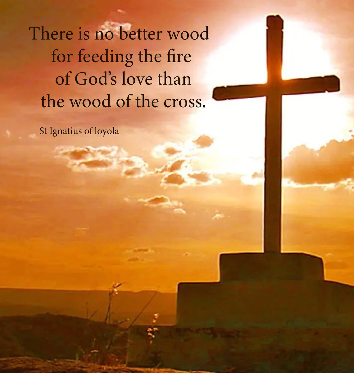 There is no better wood 
for feeding the fire
 of God’s love than
 the wood of the cross.

St Ignatius of Loyola