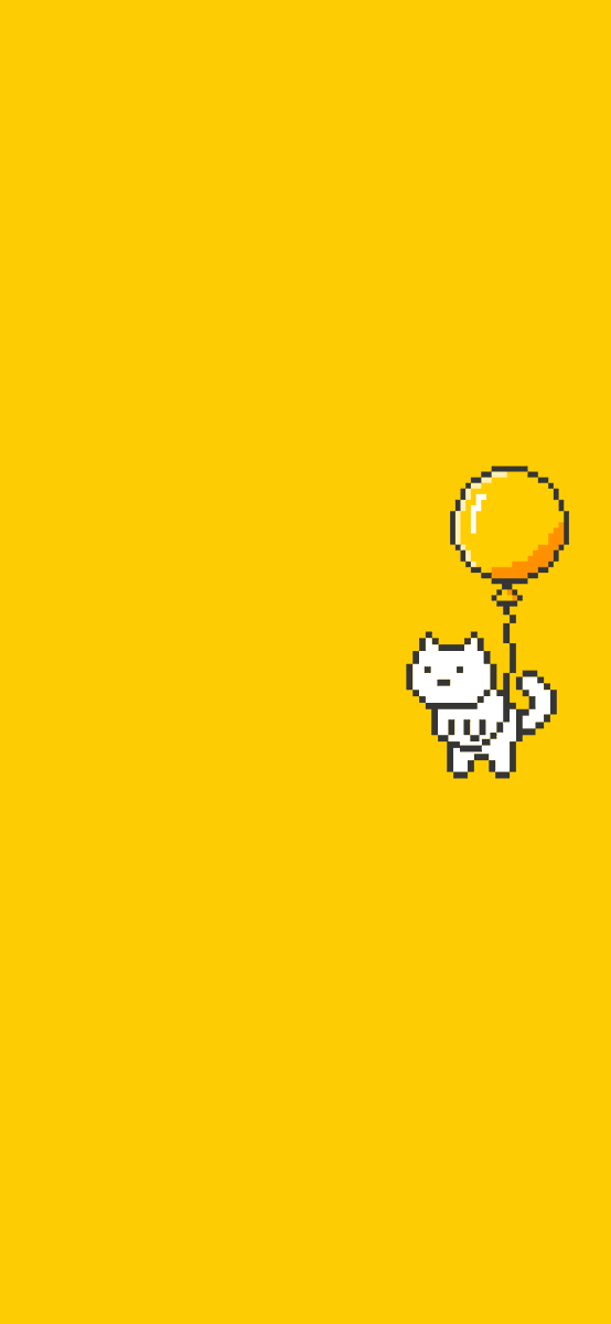 🎁🐈