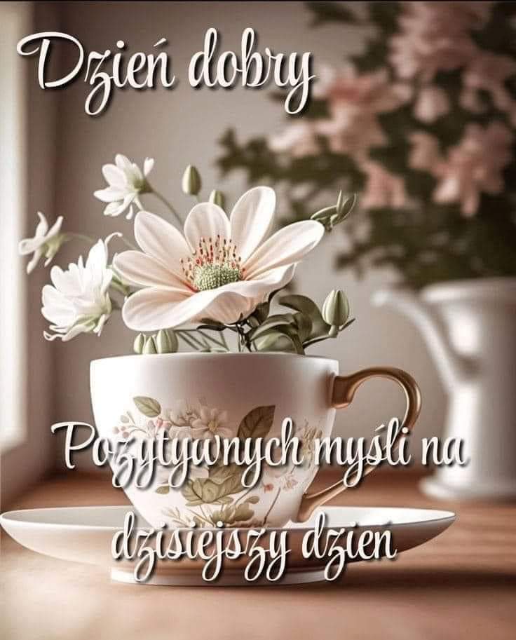 Dzień dobry 🙂🍀