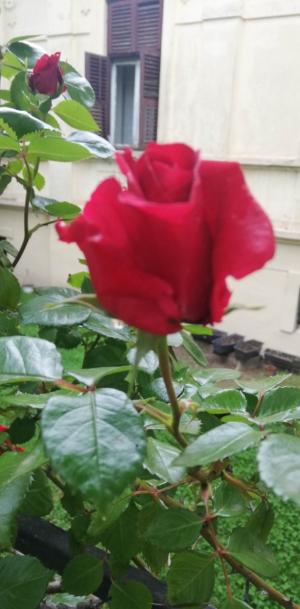 gmarchin's tweet photo. @vladnik55 https://t.co/9fXGx38FpI