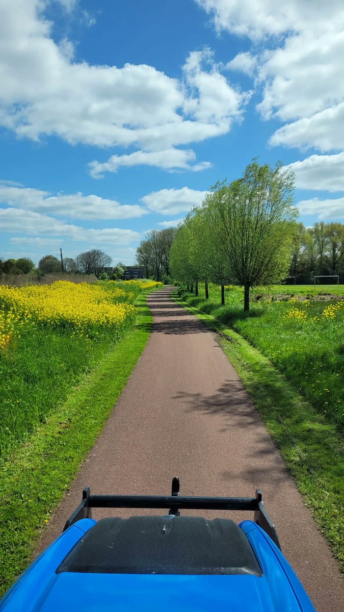 Vorige week zijn we begonnen met het maaien van het hoge gras langs voetpaden en fietspaden. Dit voorkomt dat het gras over de verharding gaat hangen en zo kunnen ook de honden weer gerust lopen zonder last van grasaren te hebben. #HOEK #groen #maaien