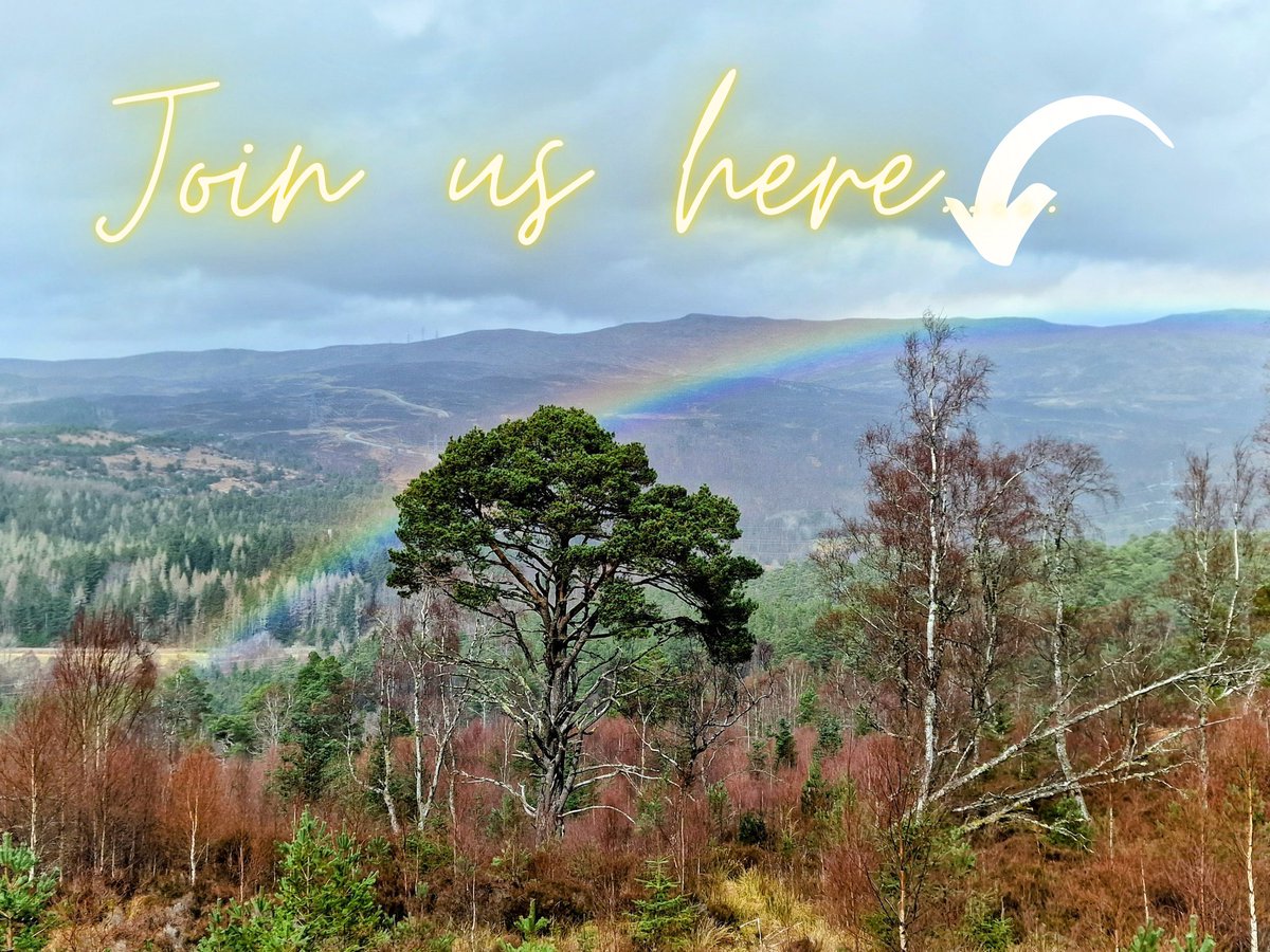 Restoring, Regenerating and Rewilding - WildCATs 
Rewilding Our Selves, Rewilding CAT
Dundreggan Rewilding Centre, Glenmoriston, Scotland  
28th – 30th Septembe
#WildCAT #CognitiveAnalyticTherapy
@CATScotland1  @YouthCAT1  @Assoc_CAT  @ICATA7  @CatalyseC  @CafeCATalyse  @YPPsych