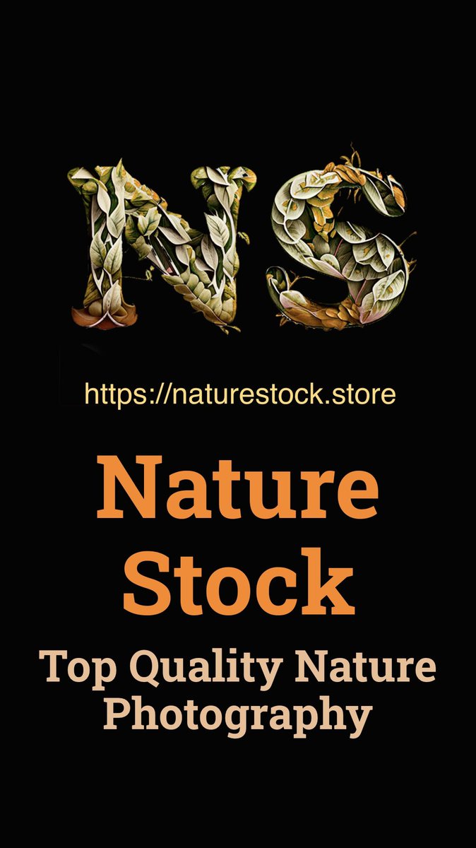 Stunning Photo Stock of Nature &amp; Wildlife🔥🔥 naturestock.store