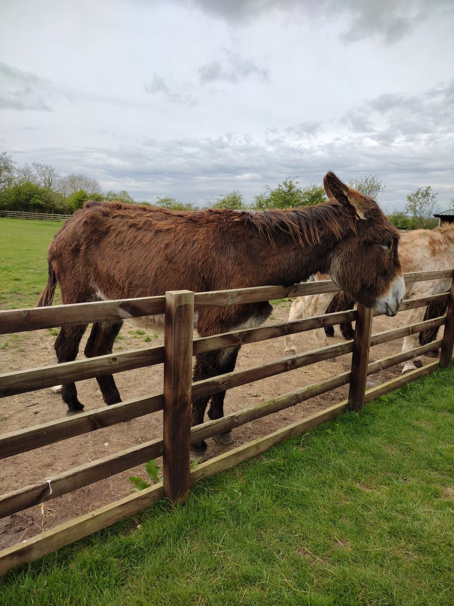 A visit to one of the local attractions is a must. Go see the Donkey Sanctuary at Huttoff. It is an incredible place run by lots of volunteers. The variety of donkey's saved from horrible lifestyles enjoy their peaceful time in the countryside.