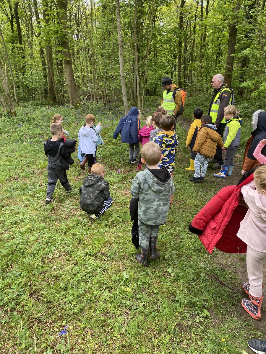 At Pleasley Vale we identified and named a variety of common wild and garden plants including deciduous and evergreen trees. #joeysscience