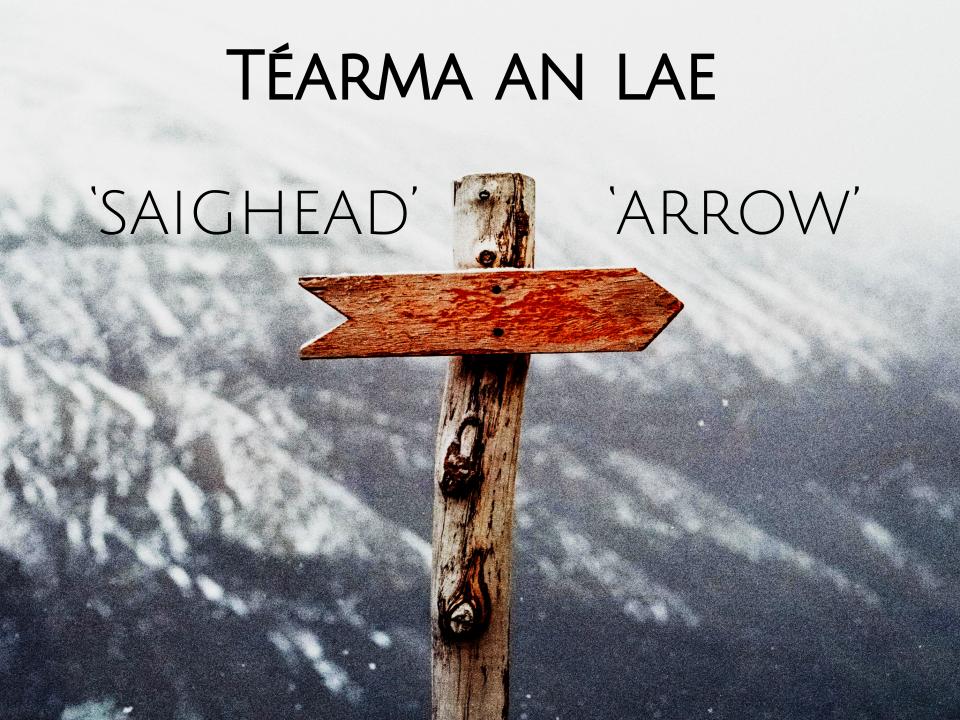 tearma_ie's tweet photo. Téarma an lae ó https://t.co/Q88WoULI8o #saighead #arrow #téarmaanlae #termoftheday #téarmaíocht #terminology #téarma #term #teanga #language #gaeilge #irish https://t.co/SSyBghXysQ