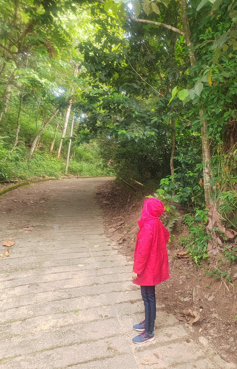 TemahUluBanat's tweet image. Tenung je laluan hiking tu, tak naik pun. Naik sekerat, lepas tu ada pakcik mana tah tegur ajak borak, aku jalan laju-laju, then patah balik. Maleh aku. 🤣 #IntrovertProblems