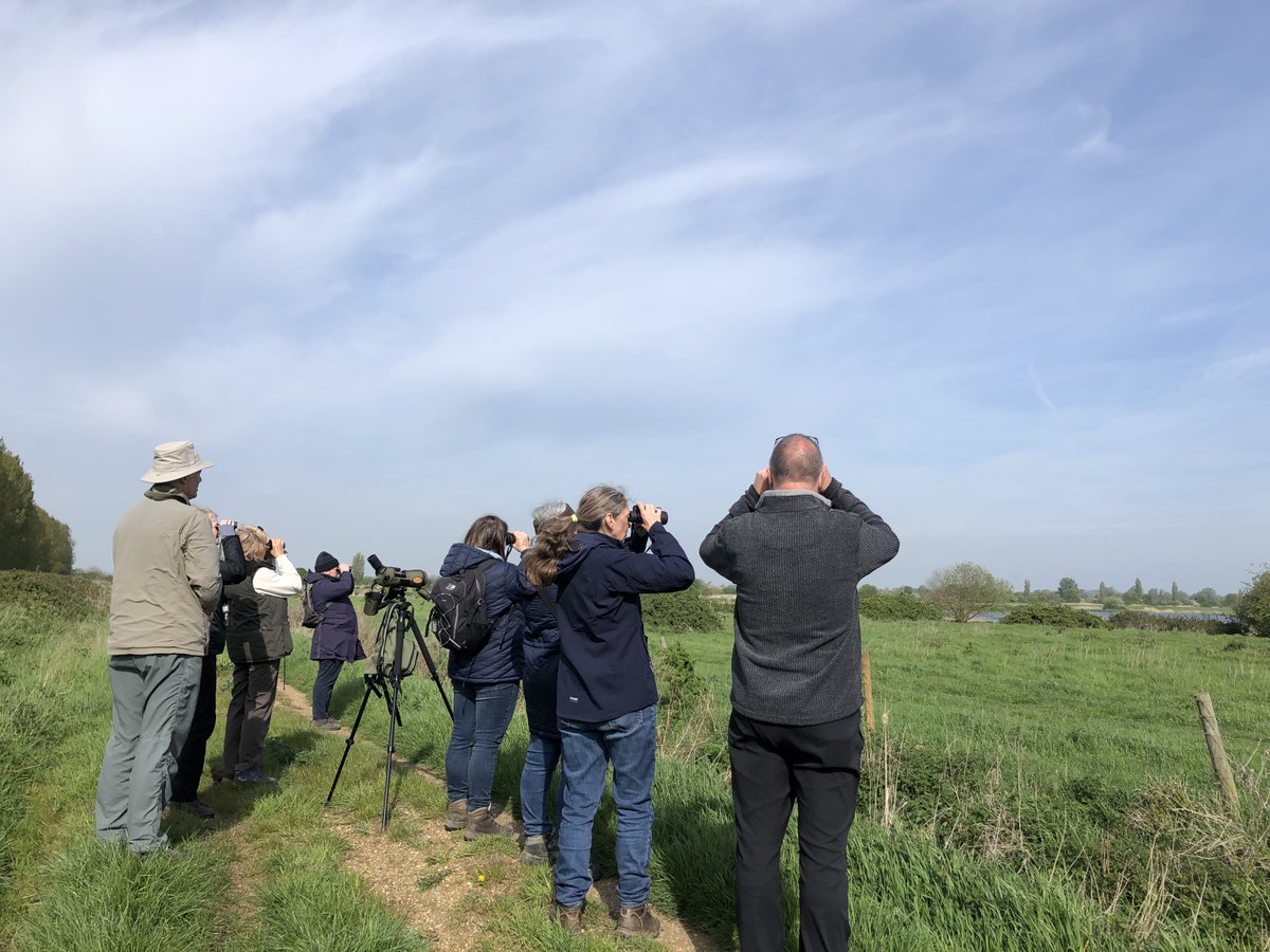 Fantastic birdwatching for beginners walk with <a href="/DavidCh71661865/">David Chandler</a> last week at RSPB Ouse Fen. Saw/heard an amazing diversity of species within a small area from whitethroat and sedge warbler to shelducks, swifts and marsh harriers 🦆

#newlifeoldwest #cambridgeshire