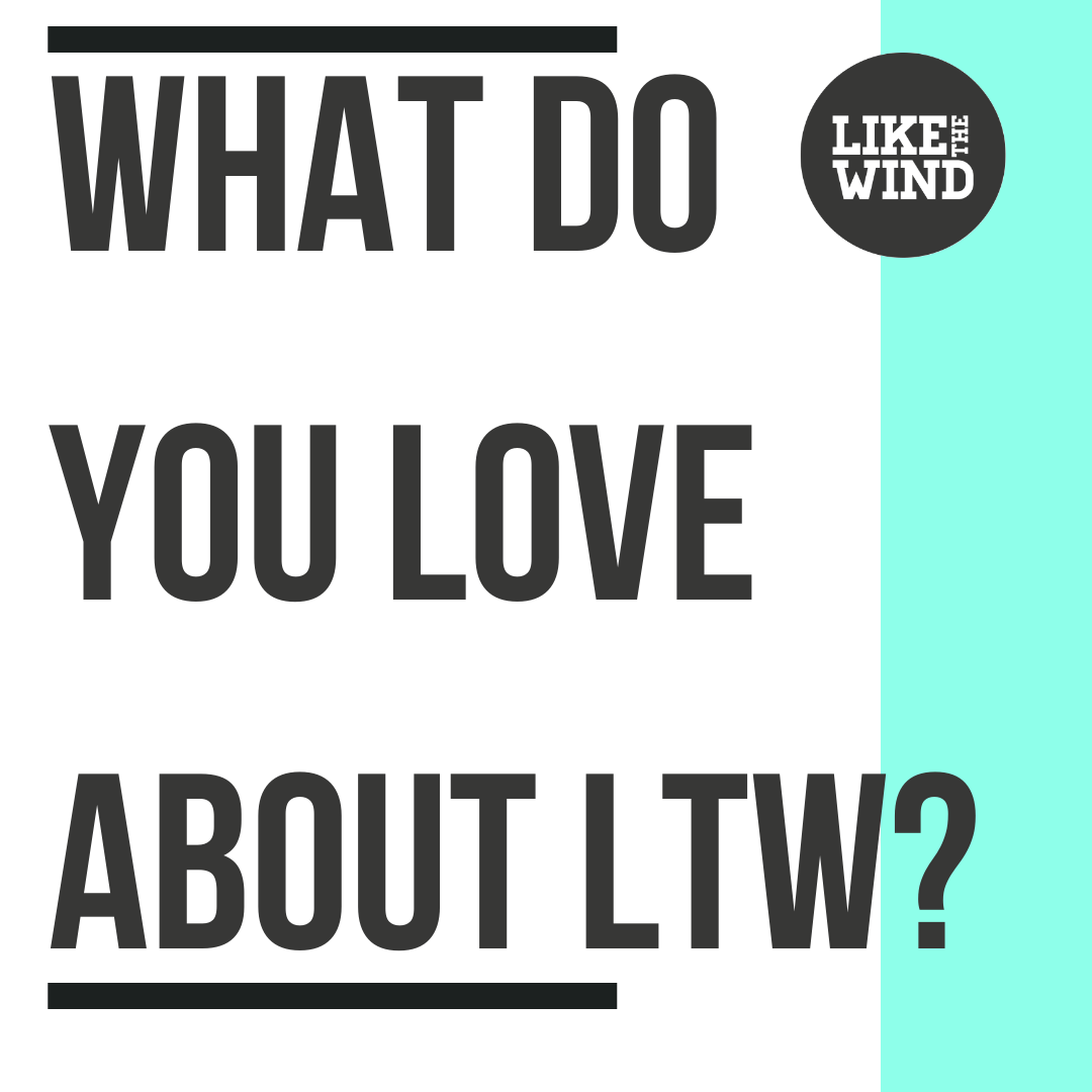 LikeTheWindMag tweet picture