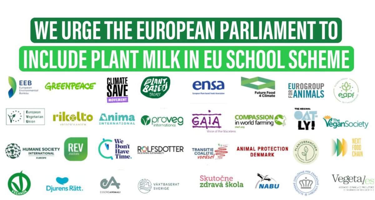 🌱 🥛 Together with an alliance of over 30 NGOs & industry associations, we urge members of the European Parliament to include #plantbased alternatives to #schoolmilk in the #EUSchoolScheme.

✅ Inclusive 
✅ Sustainable

Read our joint position paper 👉 bit.ly/3B2HTS7