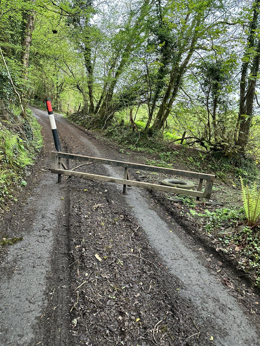 JGHRSolutions's tweet image. Started the day with a 35minute run. Such a calm peaceful morning, let’s hope the rest of the HR day is the same 😉#morningmotivation #dowhatyoucan #itsallaboutyou #HR #lovewhereyoulive #Wales