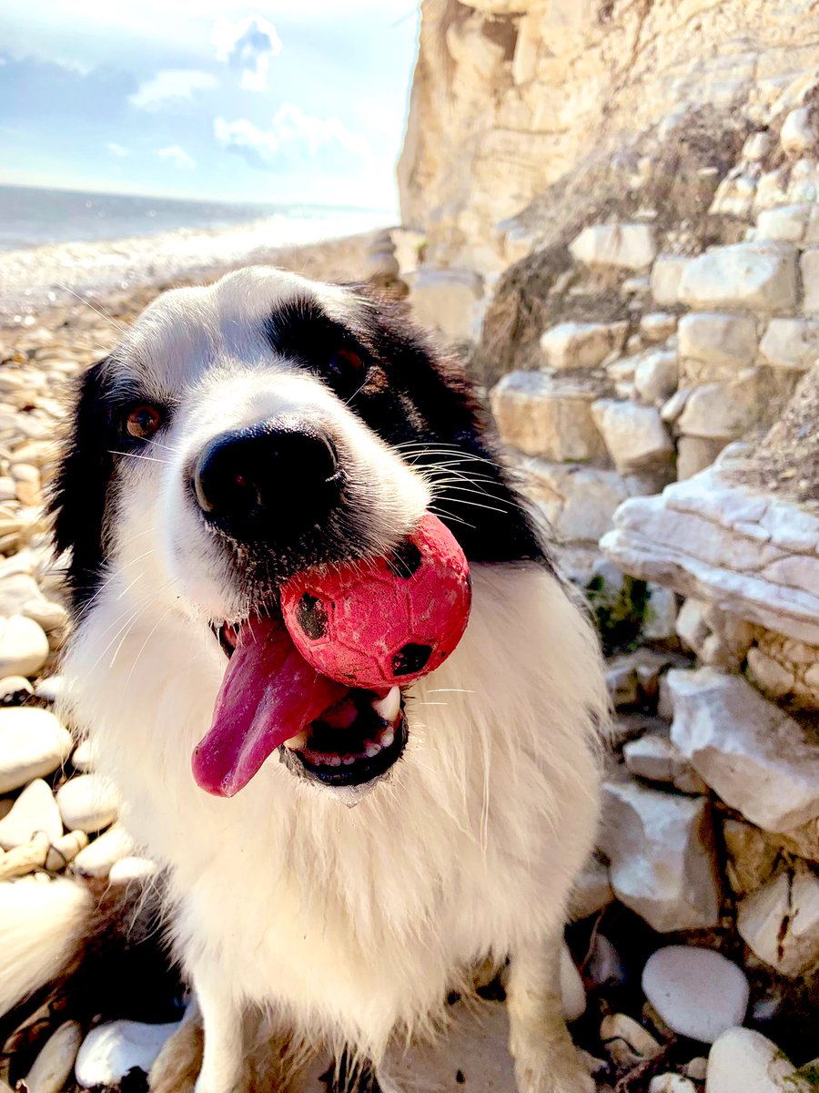 richleefletch1's tweet photo. Happy Tongue out Tuesday everyone ❤️ https://t.co/bTYgcCIK0x