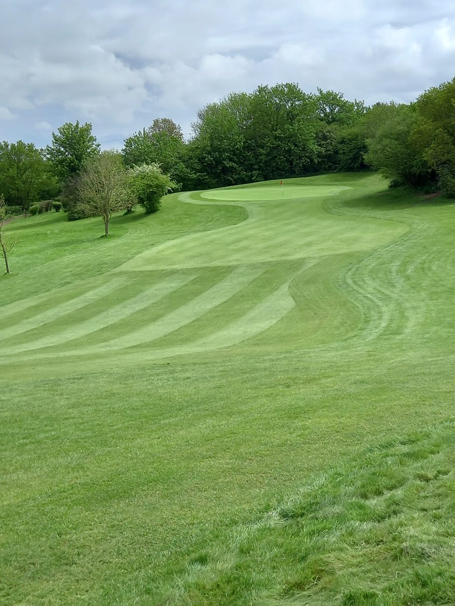 ASHLEYWOODGOLF's tweet photo. Despite all the rain we have been having, the Course has been holding up well!

Photo of the 5th Green this afternoon after a fresh cut!

Still have a few membership spaces available if you are looking to join a Friendly Members Club!

#MembersClub
#FewSpacesLeft
#dorsetgolf https://t.co/i0vtrNhxco