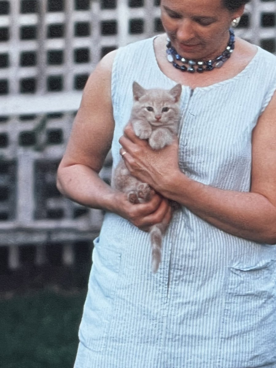 lovelykkirri's tweet image. 사진전시회 다녀왔는데
너무 맘에들어📸

#서울 #일상 #서촌 #그라운드시소