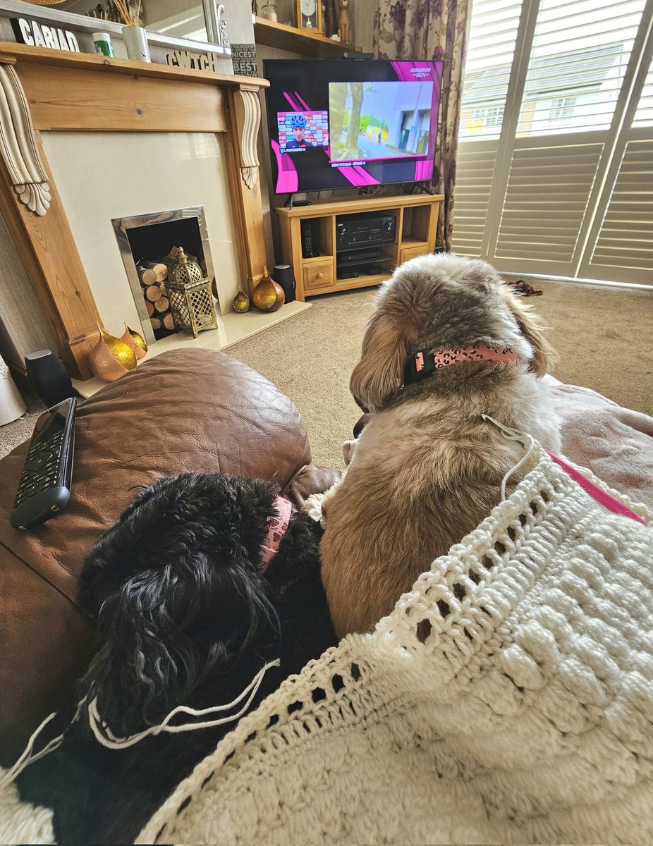 welshmummabear's tweet image. Lazy day today! Best spent with 2 of the dogs on my lap, another crochet project on the go, and the @giroditalia on my telly! Gooo @INEOSGrenadiers #giroproject #lapdogs #procycling #ineosgrenadiers #crochetnotjustfornannas #crochet