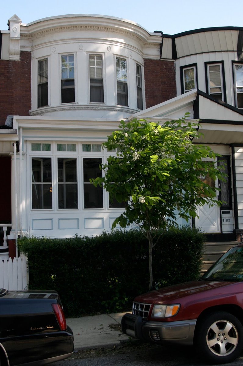 samwittchen's tweet photo. @ByDenisDevine I am here for your Cladrastis kentukea content. Please enjoy this baby yellowwood I had planted in front of my old West Philly house back in 2009. Her name is Betty, and she’s now a teenager. https://t.co/uglDmHF7zi