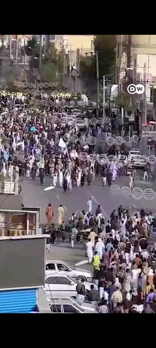 ایلیایولی🇮🇷 tweet media