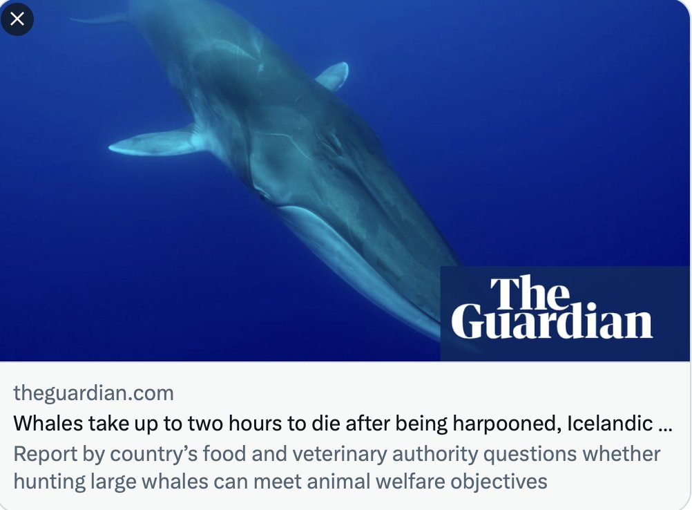 Erich Hoyt tweet media