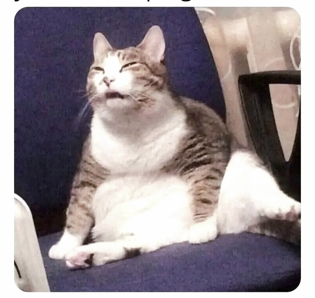 SnowFairy29's tweet image. #TuesdayMood #CoffeeNow #TongueOutTuesday #CatsOfTwitter #AnimalLovers #KittensOfTwitter 😾💗☕️