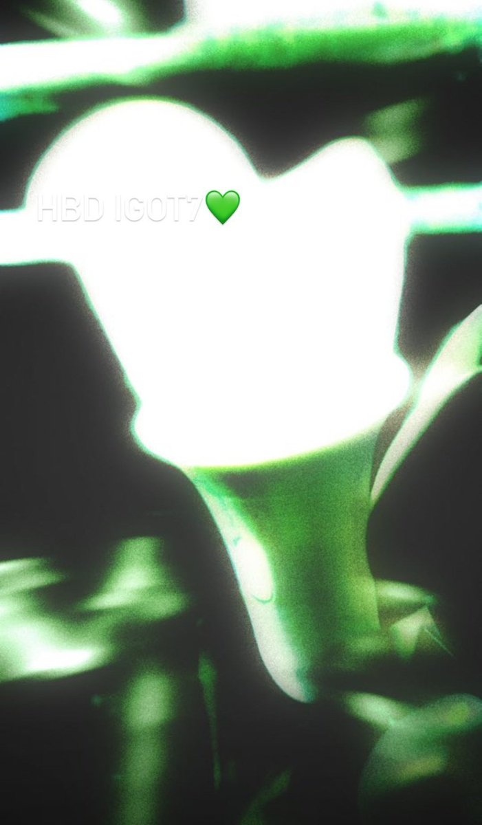 sevendless's tweet photo. 🌴: Happy birthday ahgases 
🌙: HBD IGOT7 💚
🐍: Happy birthday IGOT7
🌼: Ahgases, happy birthday 💚

#GOT7 #갓세븐 @GOT7 https://t.co/tmAaPMdh3G