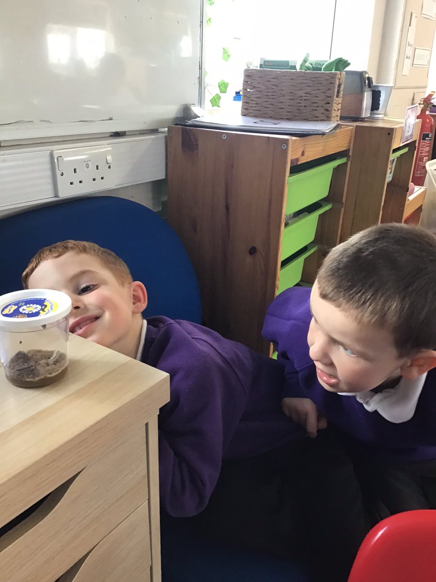 bspsofficial's tweet photo. During lunchtime we were amazed to find that one of our caterpillars has started to make its chrysalis... #bsps #bspsScience #bspsReception #bspsEyfsUnderstandingTheWorld https://t.co/XrjCLfz3OQ